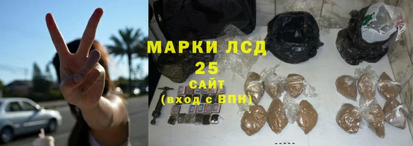 сатива Липки