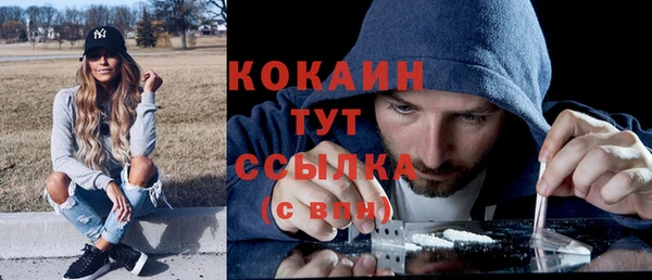 сатива Липки