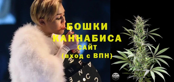 сатива Липки