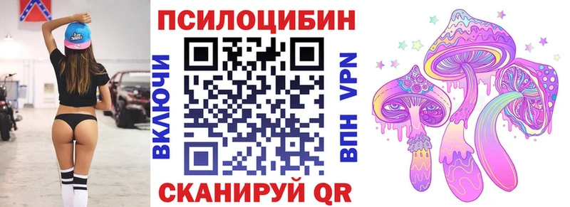 Купить где Новоаннинский Галлюциногенные грибы Cubensis